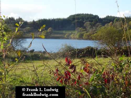 Lough Nasool